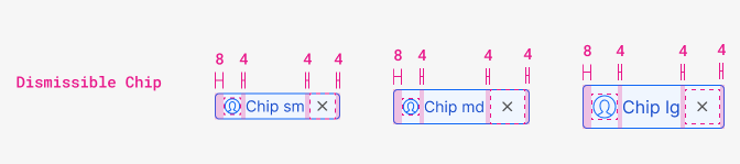 chip dismissible